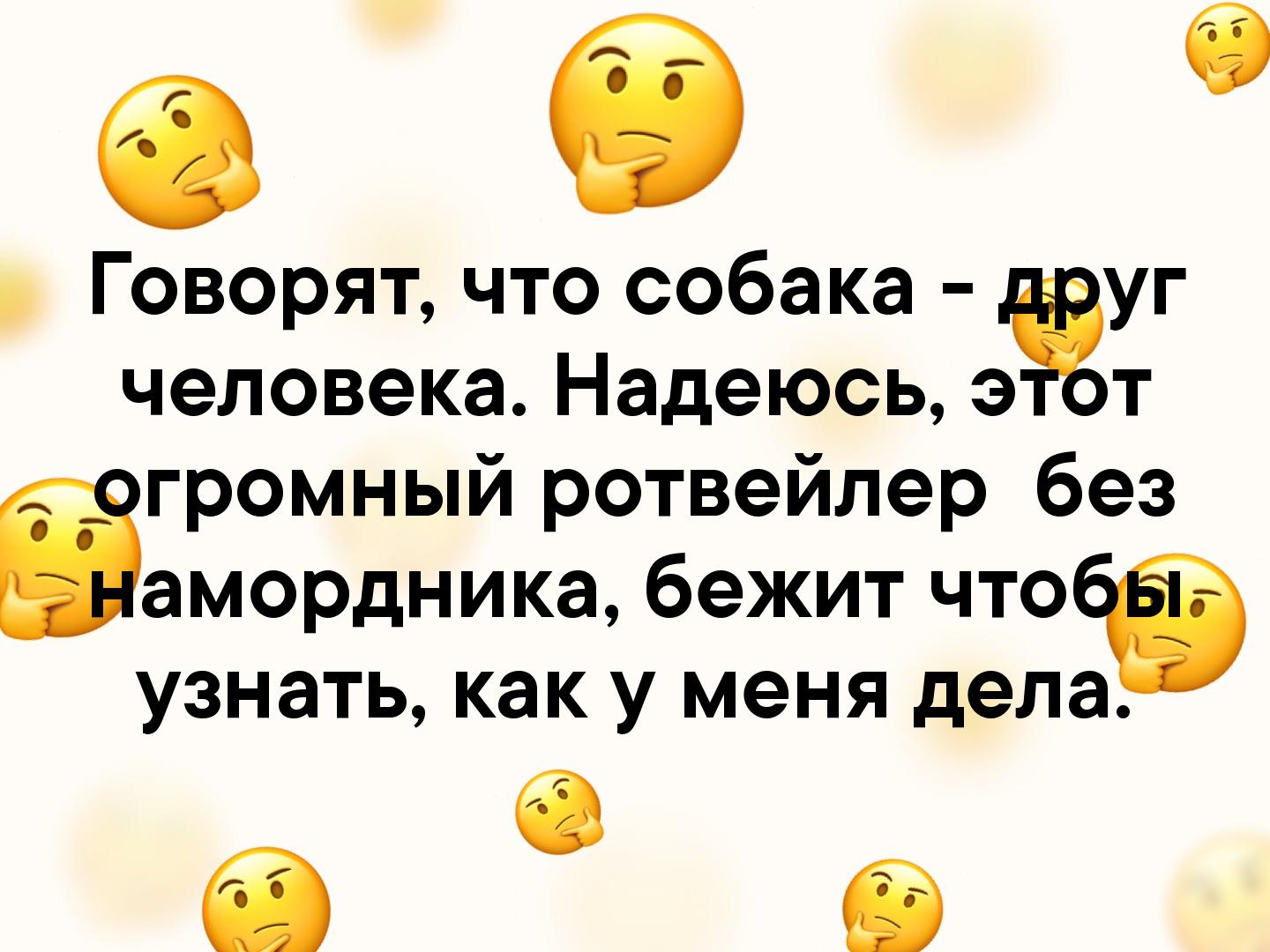 Говорят что собака уг человека Надеюсь 3 т Ёгромный ротвейлер без амордника бежит что узнать как у меня дела