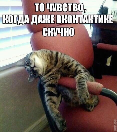 то ЧУВВЕТЙЧ ШПША ддШЕ вионщтинъ