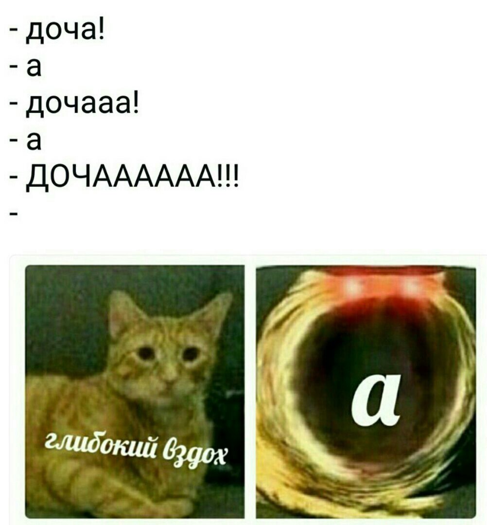 доча а дочааа а ДОЧАААААА