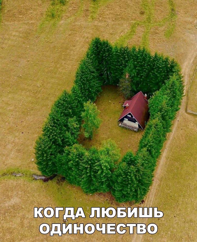 КОГДА ЛЮБИШЬ ОДИНОЧЕСТВО