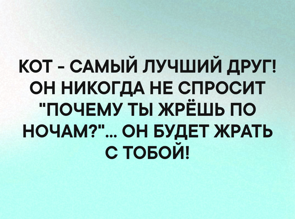 кот САМЫЙ лучший друп он НИКОГДА НЕ спросит почвму ты ЖРЁШЬ по НОЧАМ он БУДЕТ ЖРАТЬ с товой