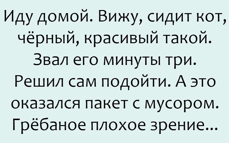 Иду домой Вижу сидит кот чёрный красивый такой Звал его минуты три Решил сам подойти А это оказался пакет с мусором Грёбаное плохое зрение