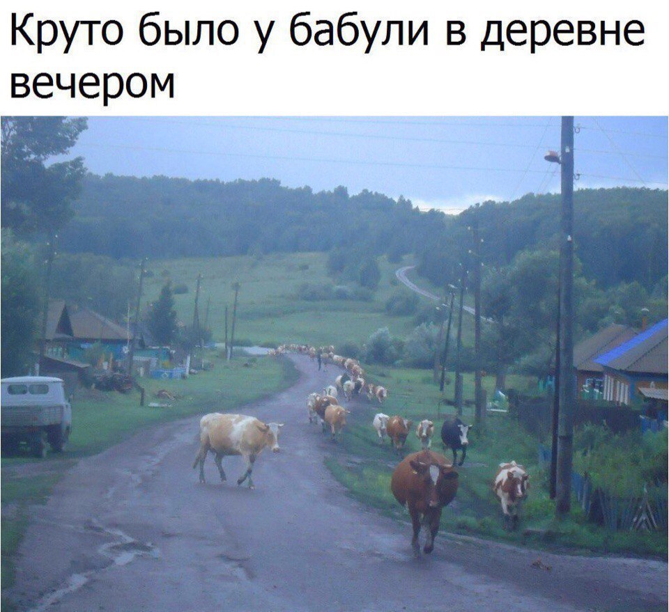 Круто было у бабули в деревне вечером