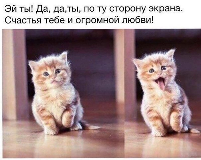 Эй ты Да даты по ту сторону экрана Счастья тебе и огромной любви