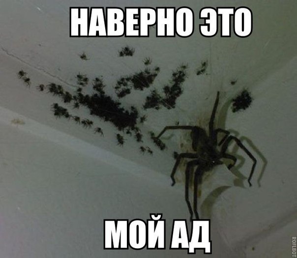 НАВЕРНВЗТВ М0Йдд