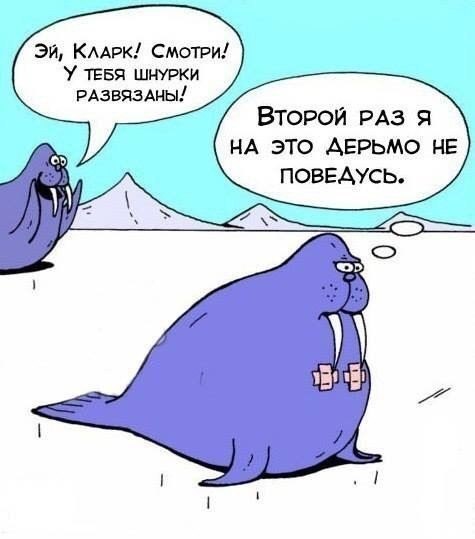 зи КААРК Смотри У ТЕБЯ шнурки машины ВТОРОЙ РАЗ Я НА ЭТО АЕРЬМО НЕ ПОВЕАУСЬ