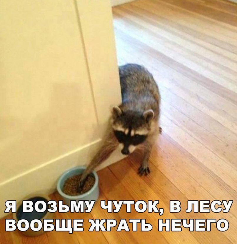 я возьму ЧУТФЁО В воовщЕ БЕРЁХЁЬ БПЁЧПЁЕСФ