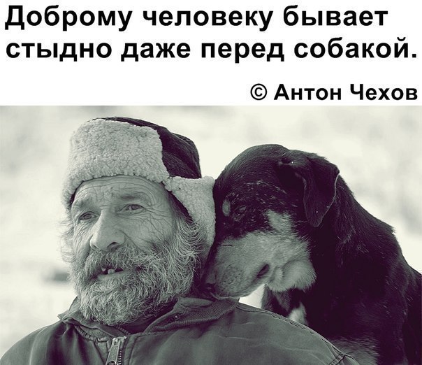 доброму человеку бывает стыдно даже перед собакой Антон Чехов