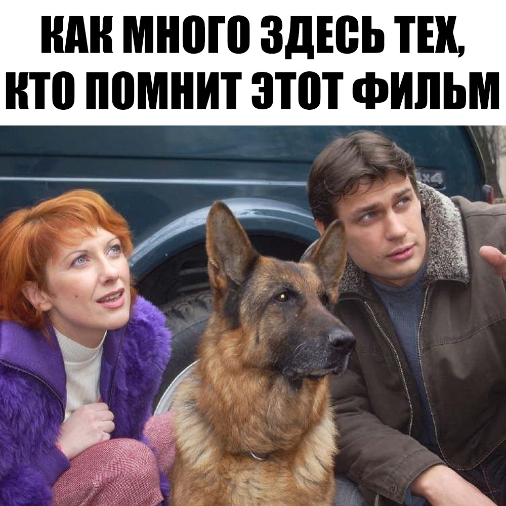 Собака 4 1. Оксана Сташенко Возвращение Мухтара. Возвращение Мухтара Александр Волков. Возвращение Мухтара сериал Оксана Сташенко. Мухтар 2006.