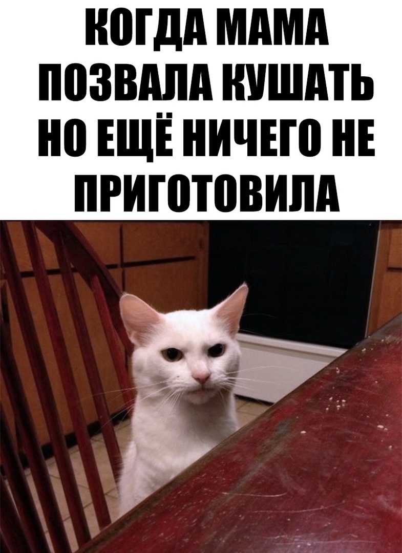 ногдд мдмд ПОЗВШШ НУШМЬ но ЕЩЁ ИЧЕШ НЕ ПРИШТВВИЛД