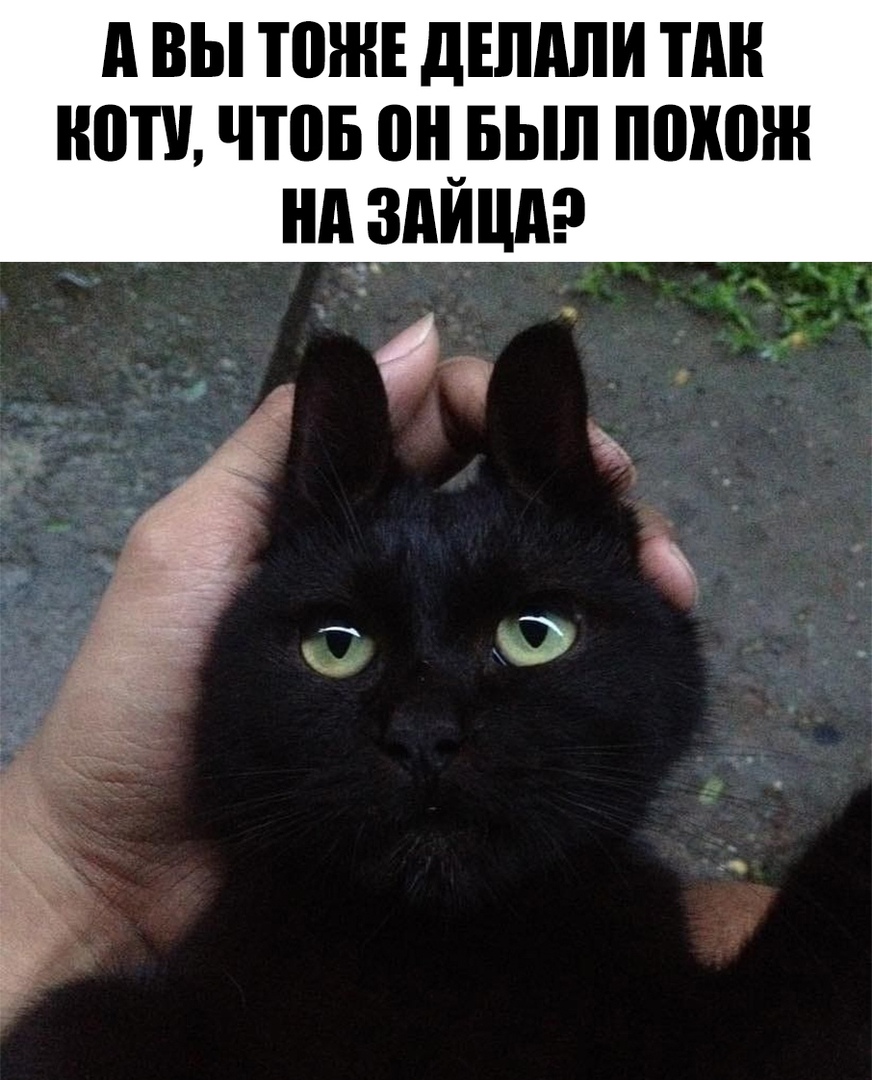 и вы тош двпдпи тдн нити чтов он_вып похож нпзпицдэ А Оч