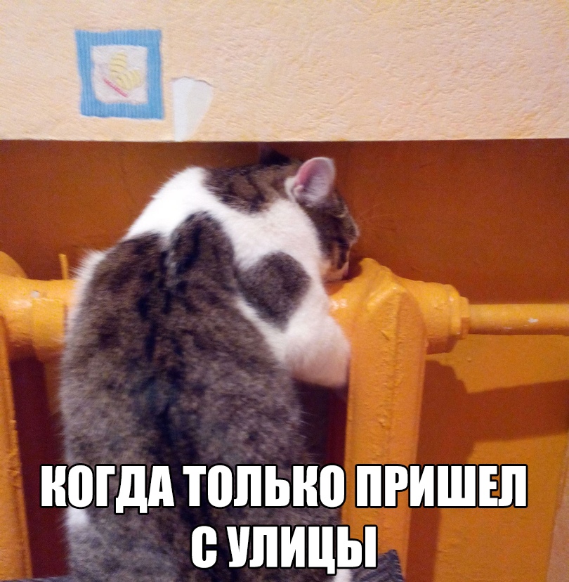 ЮЗ ИПГДИ ПШЫЮ ПРИШЕЛ В УЛИЦЫ