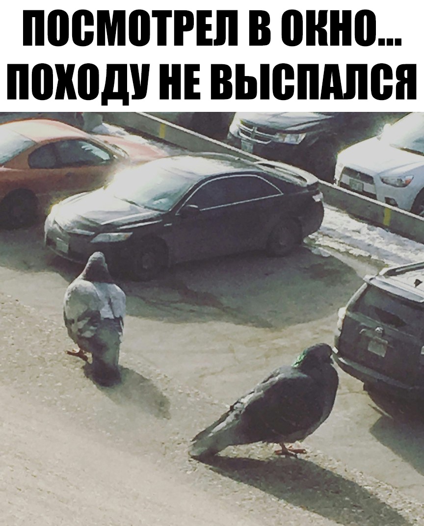 ПОВМЩРЕЛ В ШШ ПШШДУ НЕ ВЬЮШШВЯ