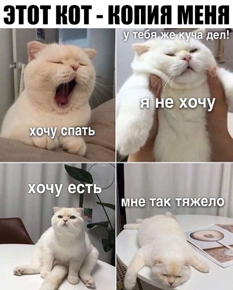 ЗПП ЮТ копия МЕНЯ