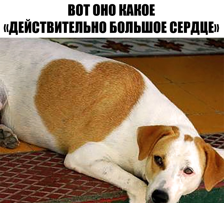 вот оно кино идъиетвитшьно вопьшоъ ВЕРдЦЕп