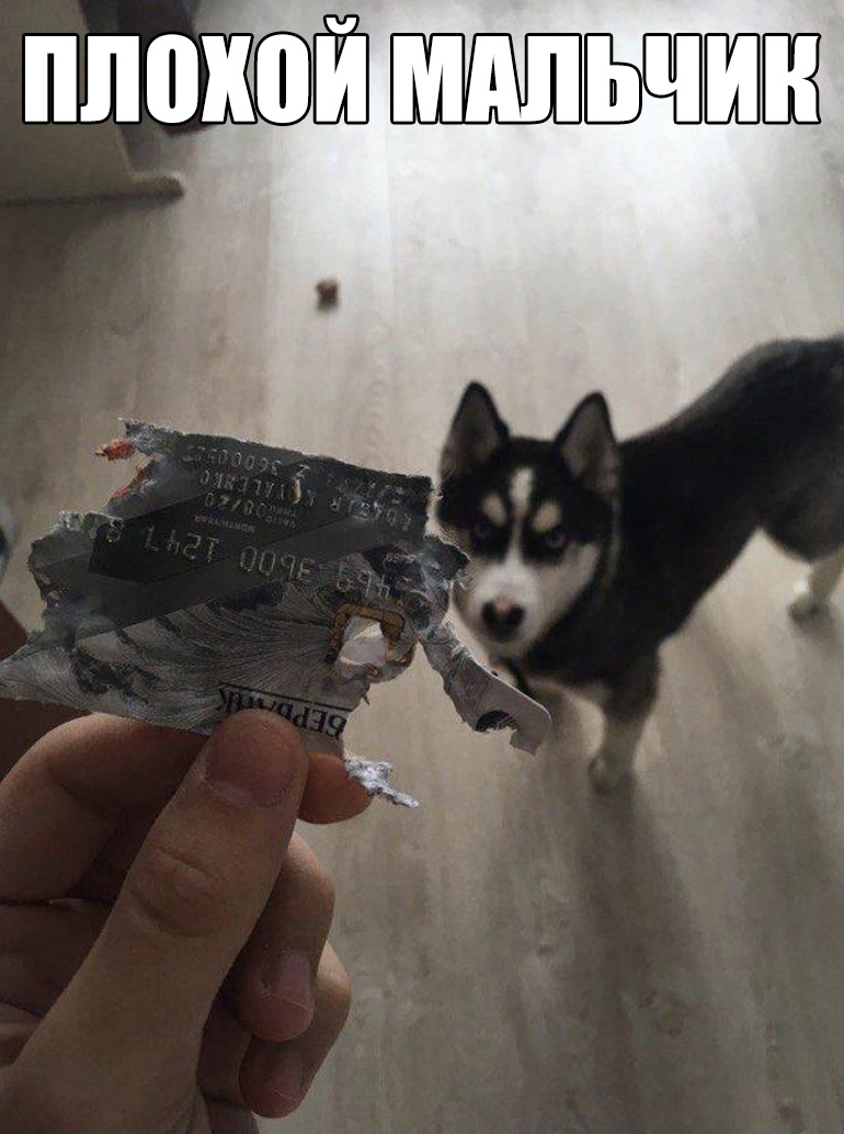 плохой