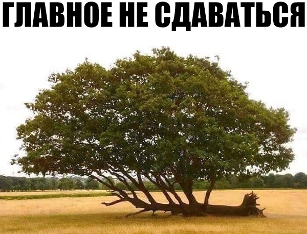 ПШВНВЕ НЕ ВддВдТЬВЯ