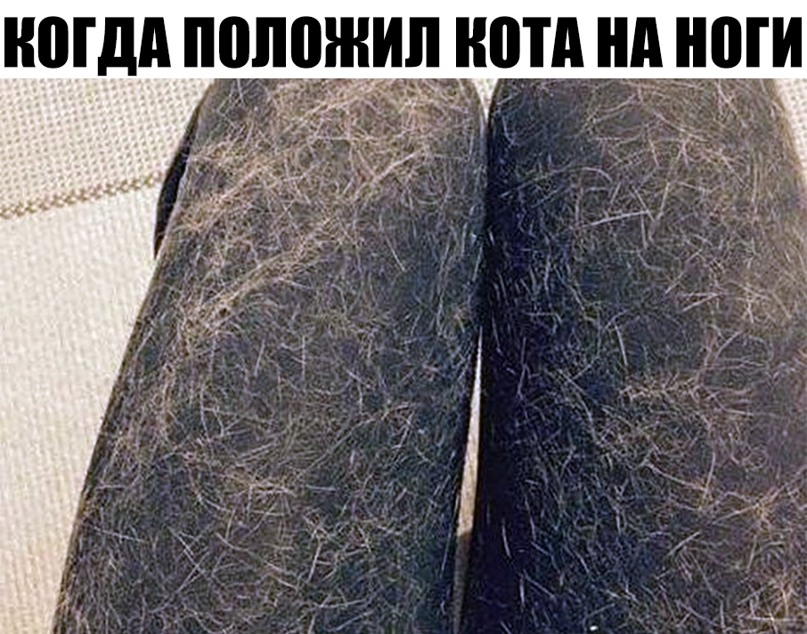 ногдд положил но и ноги
