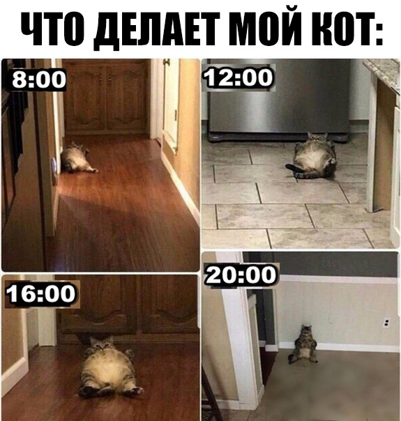 ЧТ0 дЕпдЕТ МПЙ ЮТ _