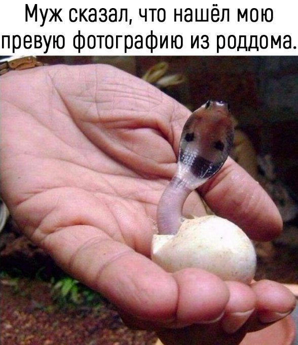 Муж сказал что нашёл мою превую фотографию из роддома