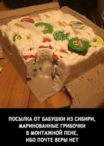 посылкд от тушки из синиги шиномнныв гривочки в мштджной пинг иво почт веры нп