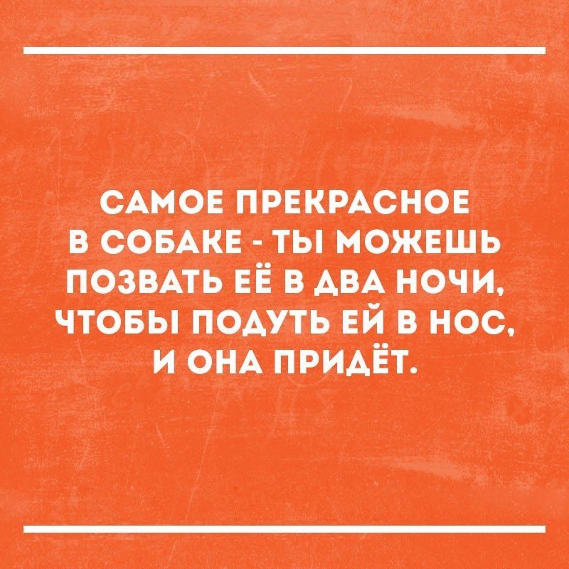 смо пишет сони ты пожить возить ц ночи поить ей в нос и оплатит