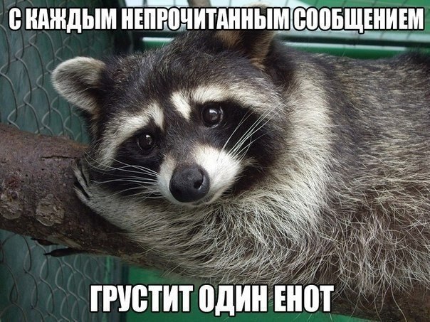 С КАЖДЫМ НЕПРОЧИТАННЫМ СООБЩЕНИЕМ