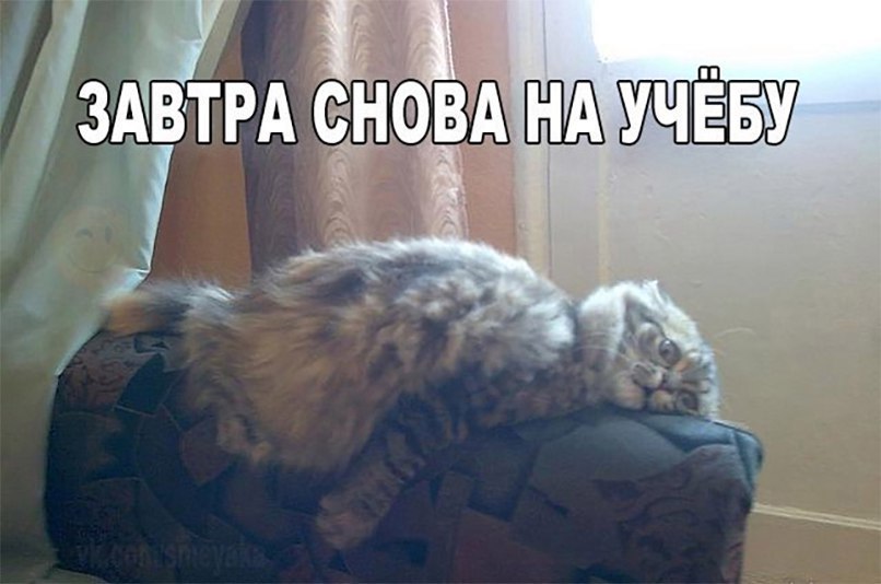 р А вы ЩИ А й СНОВАНАУЧЕБУ в