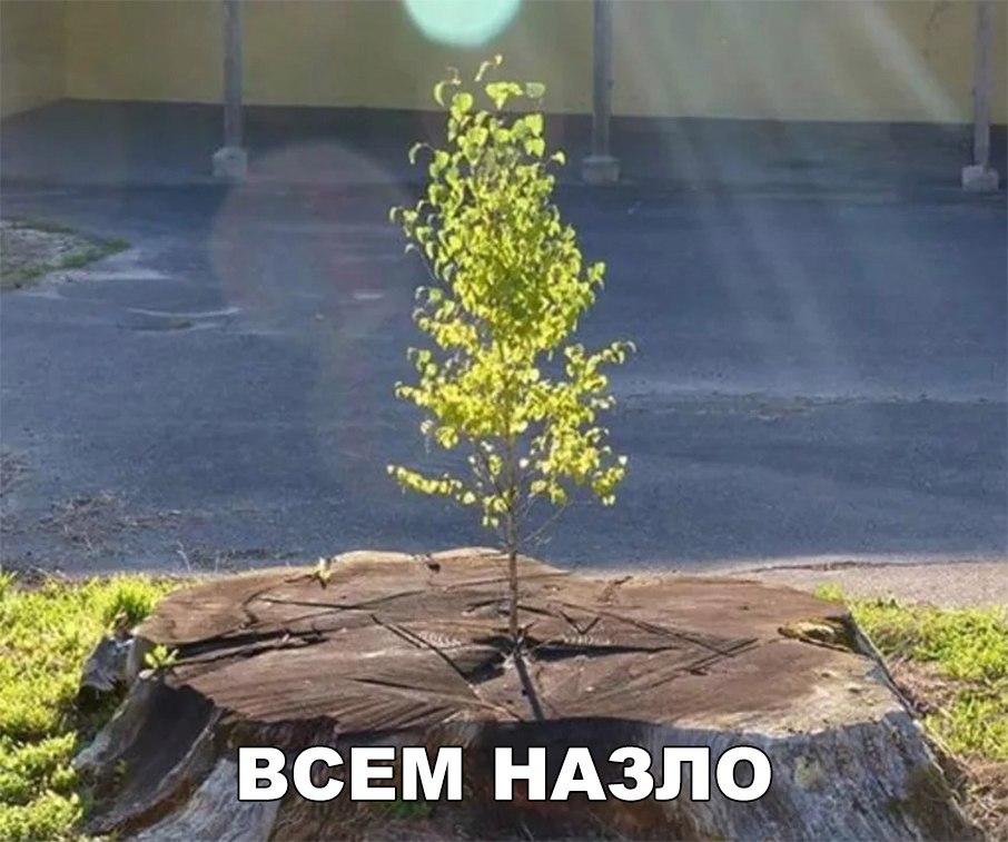 УЕ ща НАЗЛО р на ия в у
