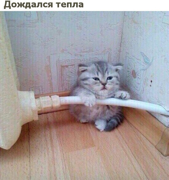 Дождался тепла