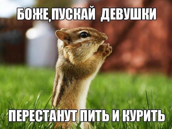 В БОННЕ ПУСКАЙ ДЕВУШКИ ПЕРЕСТАНИ М БИКУРИТЬ