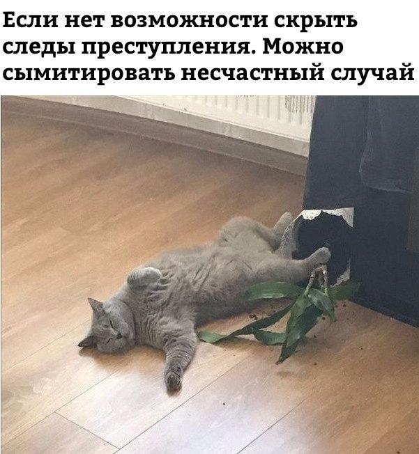 Если нет возможности скрыть следы преступления Можно сымитировать несчастный случай