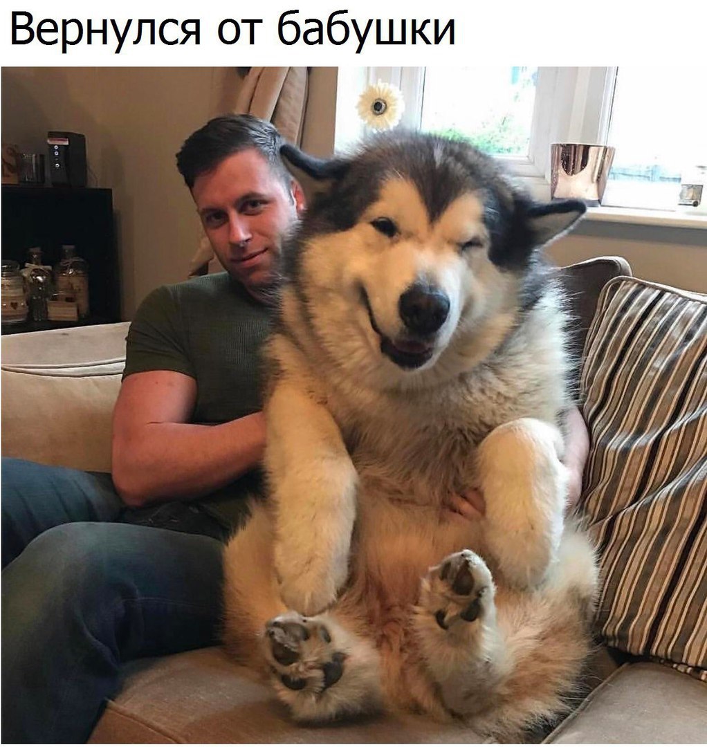 Вернулся от бабушки