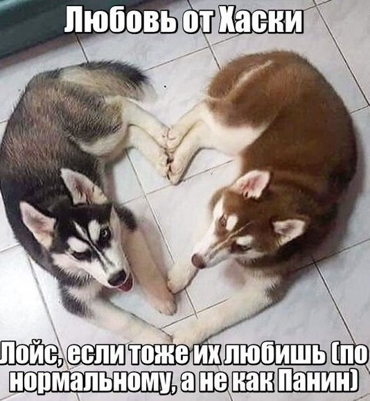 ПоЙстесли Е ИХТЮОИШЬ По НормальномухатнекакПанин