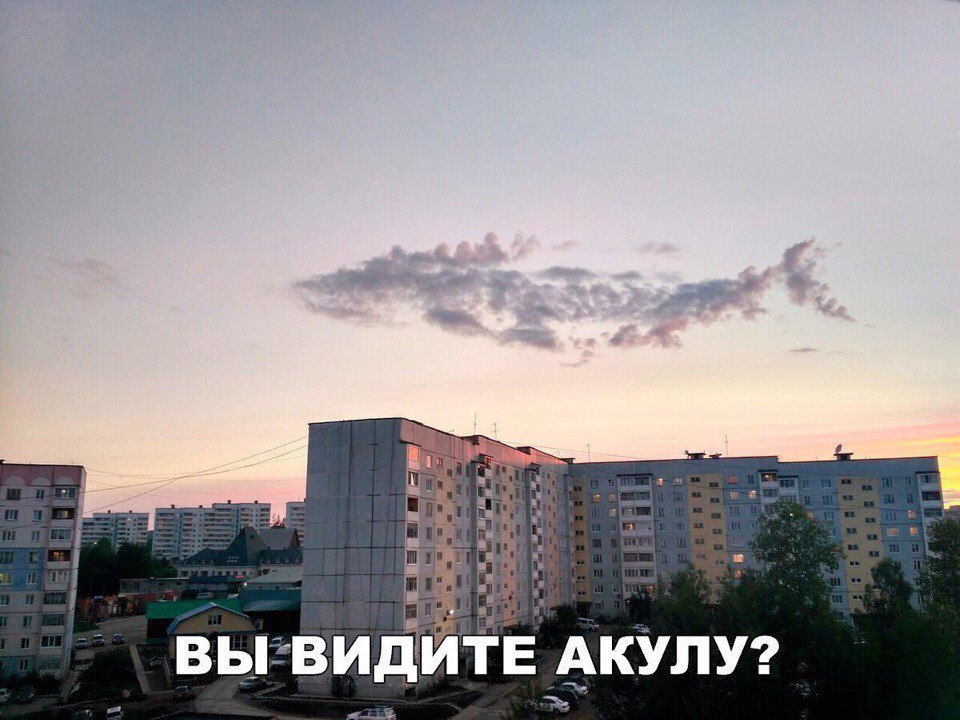 ВЫ ВИДИТЕ АКУЛУ