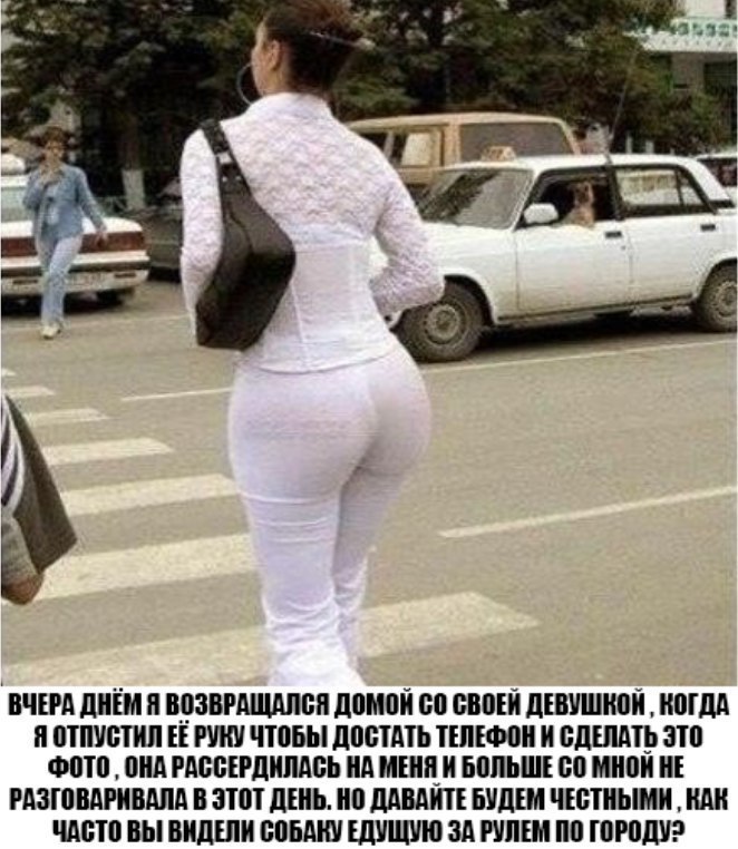 ВЧЕРА ДНЕМ Я ВОЗВРАЩАЛСЯ ДОМОН СО СВОЕЙ ДЕВУШКОЙ КОГДА Я ОТПУСТИЛ ЕЁ РУКУ ЧТОБЫ ДОСТАТЬ ТЕЛЕФОН И СДЕЛАТЬ ЭТО ФОТО ОНА РАССЕРДИЛАСЬ НА МЕНЯ И БОЛЬШЕ СО МНОЙ НЕ РАЗГОВАРИВАЛА В ЭТОТ ДЕНЬ НО ДАВАЙТЕ БУДЕМ ЧЕСТНЫМИ КАК ЧАСТО ВЫ ВИДЕЛИ СОБАКУ ЕДУЩУЮ ЗА РУЛЕМ ПО ГОРОДУ