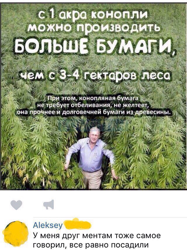 с 1 аира конопли можно производить БОЛЬШЕ БУМАГИ _ _чем СЗ4 катаров леса _ При этом коноплпная бумата 3 _ не требует отбеливания не желтеет она прочнее и долговечней бумаги из древесины _ АеКзеу_ У меня друг ментам тоже самое Говорил все равно ПОСЭДИПИ