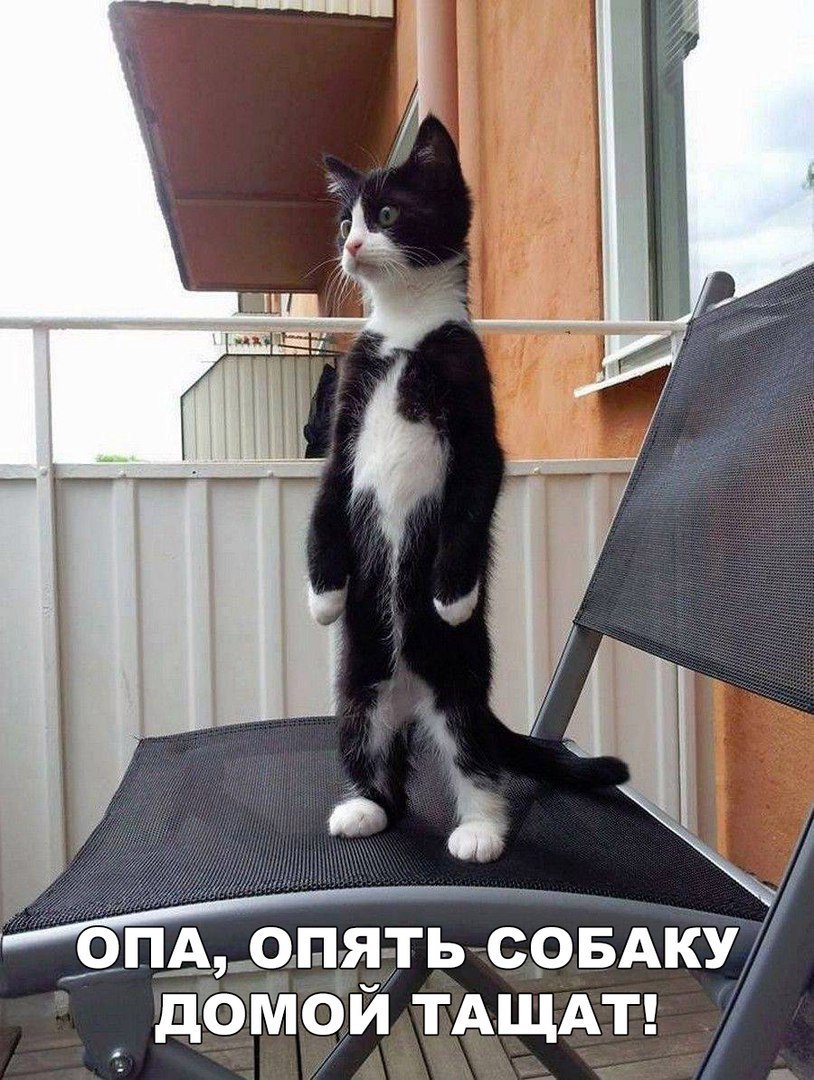 3 сны нда Ь совдку домріи ТАЩАТ