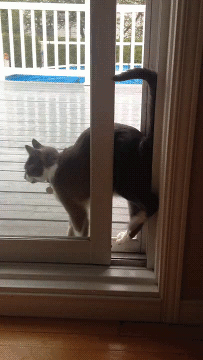 в т Ё ЁЁЁ