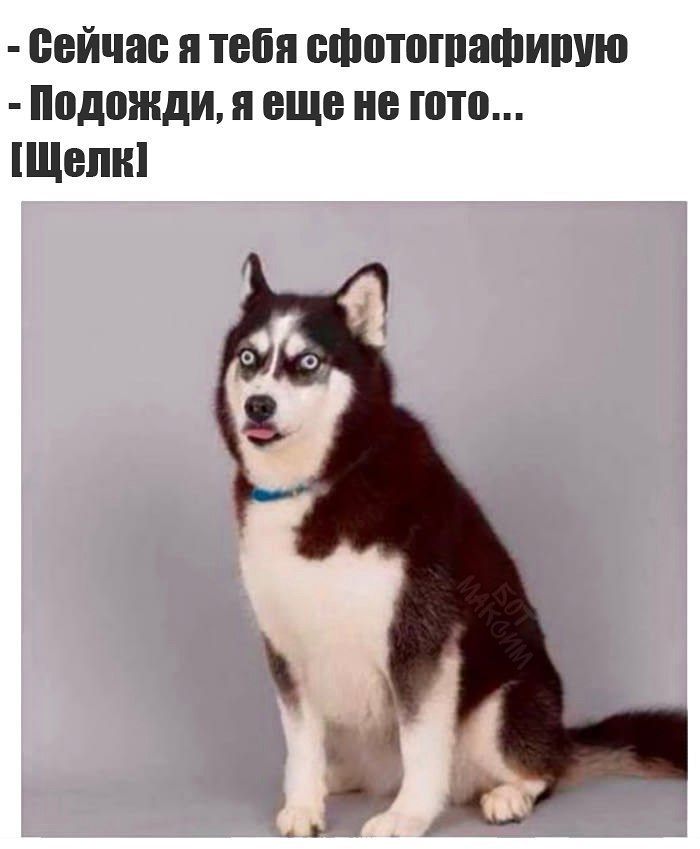 сейчас я тебя сфотогпафишю Подожди я еще не ютп Щели