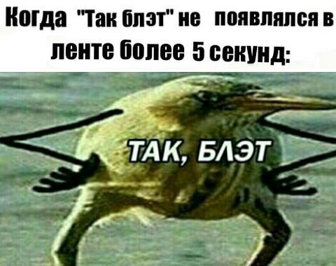 ноша гаи плат не появлялся в ленте более 5 секунд ТАК БАЭТ д