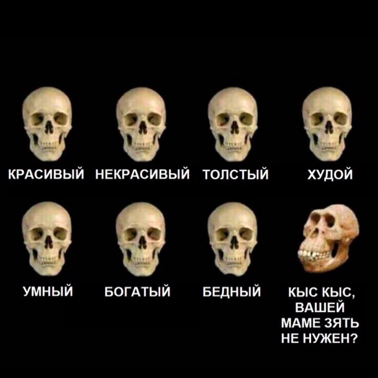 КРАСИВЫЙ НЕКРАСИВЫЙ толстый худой 0 УМНЫЙ БОГАТЫЙ БЕДНЫЙ кыс кыс ВАШЕЙ МАМЕ зять НЕ НУЖЕН