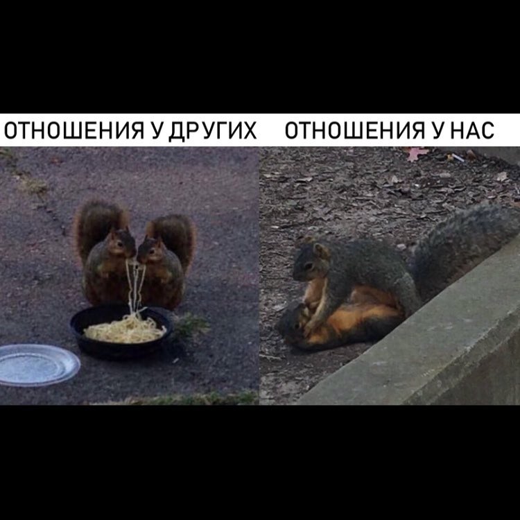 ОТНОШЕНИЯ УДРУГИХ ОТНОШЕНИЯ У НАС 1