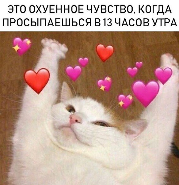 ЭТО ОХУЕННОЕ ЧУВСТВО КОГДА ПРОСЫПАЕШЬСЯ В 13 ЧАСОВ УТРА
