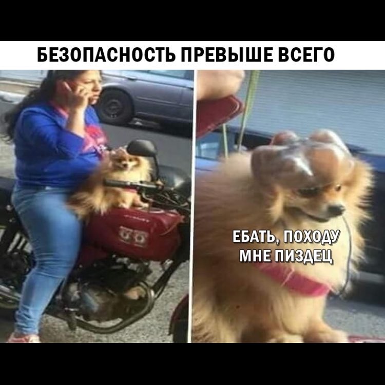 БЕЗОПАСНОСТЬ ПРЕВЫШЕ ВСЕГО