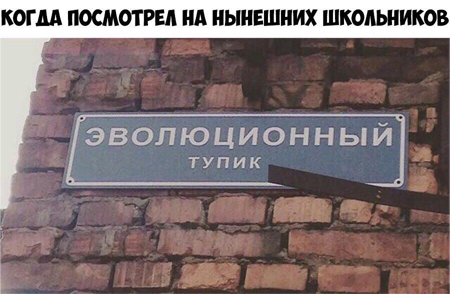 КОГДА ПОСМОТРЕА НА НЫНЕШНИХ ШКОЛЬНИКОВ ЭВОЛЮЦИОННЬіЙ тупик Ё А д Ча а __