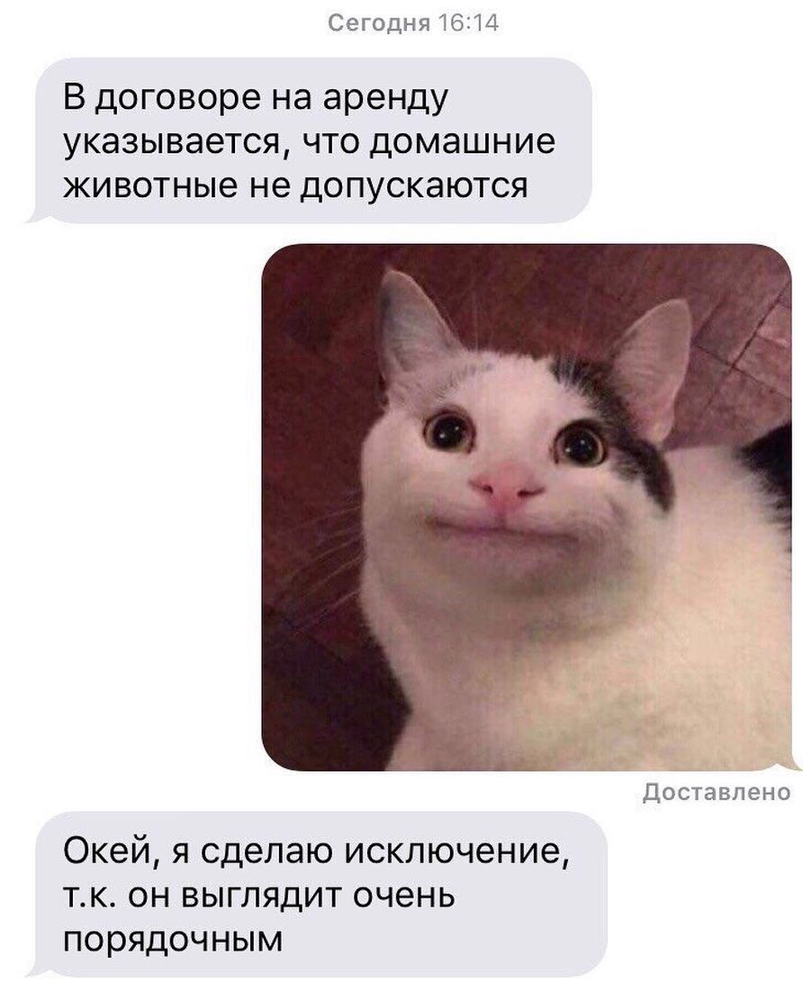 Сегодня 1614 В договоре на аренду указывается что домашние животные не допускаются Доставлено Окей я сделаю исключение тк он выглядит очень порядочным
