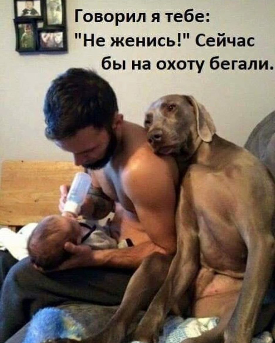 Говорил я тебе Не женись Сейчас бы на охоту бегали