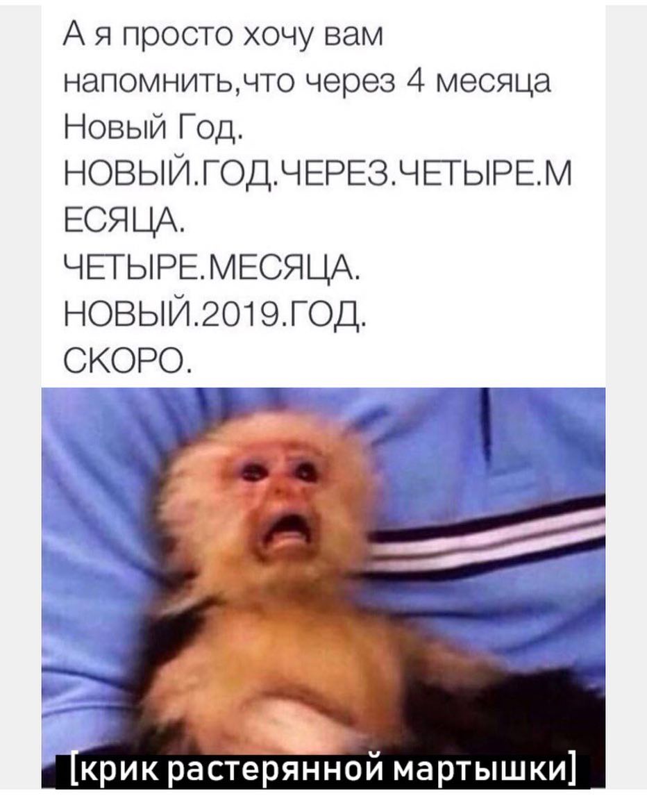 А я просто хочу вам напомнитьчто через 4 месяца Новый Год НОВЫЙГОДЧЕРЕЗЧЕГЫРЕМ ЕСЯЦА ЧЕГЫРЕМЕСЯЦА НОВЫЙ2О19ГОД СКОРО крик растерянйной мартышки