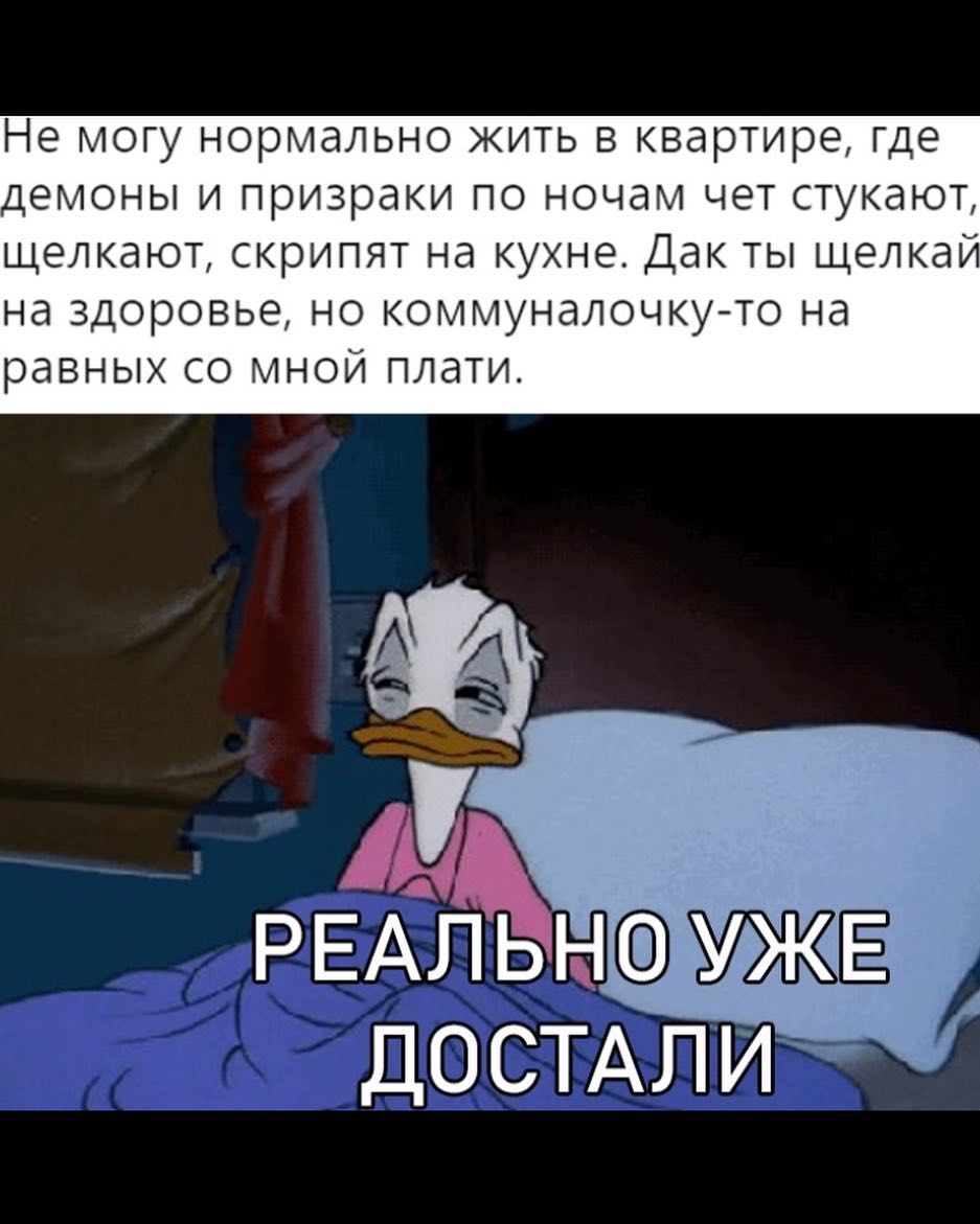 Не могу нормально жить в квартире где демоны и призраки по ночам чет стукают щелкают скрипят на кухне Дак ты щелкай на здоровье НО КОММУНдЛОЧКУ ТО Нд рдВНЫХ СО МНОЙ ПЛдТИ РЕАЛЬНУЖЁ досмл Ит